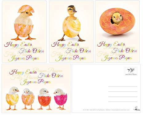 Edition Colibri Lustiges Osterkarten-Set mit 12 Osterpostkarten (4 Motive mit je 3 St.), liebevoll gestaltet witzige Grusskarten zu Ostern (11065-11068)