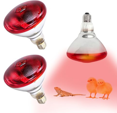 KQWVZ 2 st 150 W infraröd lampa, värmelampa för hönshus, R125 röd lju, värmelampa för kycklingar, E27 reptiler, terrariumlampa för reptiler, kycklinggårdar, däggdjur, fjäderfä (röd)