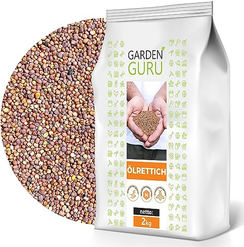 Ölrettich 2kg Samen Gründüngung Bienenweide gegen Nematoden