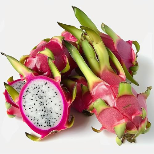 60 Semillas de Fruta del Dragón (Pitaya) - SemiSauvage Permacultura