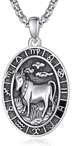 ADMETUS 12 stjärntecken halsband silver 925 stjärntecken hänge smycken oval stjärntecken konstellation kedja gåvor för män med 2,5 mm 50 cm + 2 tum rolokedjor, Sterlingsilver, Ingen ädelsten
