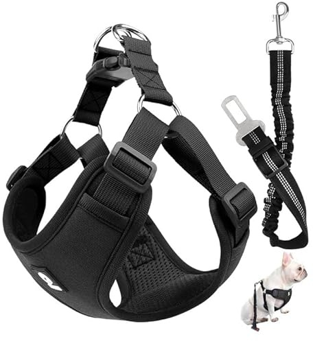 Arnés de Coche para Perro con Correa de Conector,