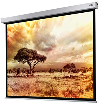 celexon Professional Plus Motor-Leinwand 150 | 300x225 cm 4:3 | elektrische 4K,Full-HD Präsentations-Leinwand für Ihren Heimkinobeamer | zur Decken-/ Wand-Montage | mit Fernbedienung