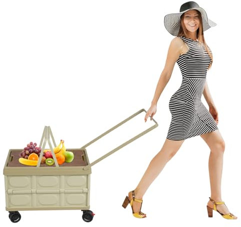 Carro de la compra plegable con una caja de almacenamiento plegable separada, 55 L, gran capacidad, con ruedas de goma giratorias de 360 °, freno y tapa, carrito plegable de transporte