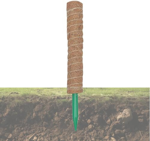 Asta da arrampicata per piante rampicanti | Coco Coir Muschio Poles supporti rimovibili Monstera | Crescere verso l'alto dopo bastoncini da giardino per Monstera, Pothos, filodendro