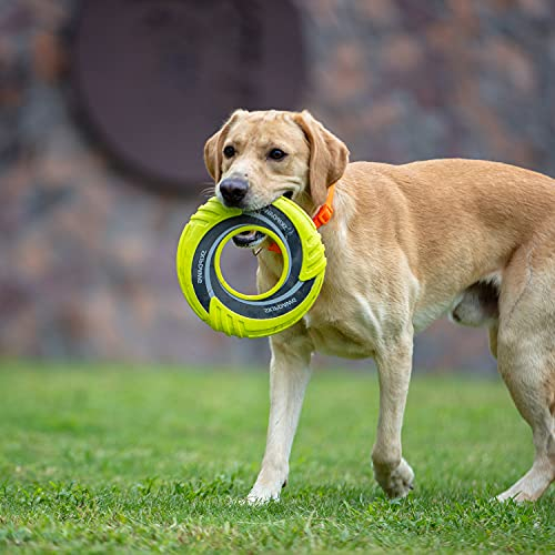 SKIPDAWG Frisbee für Hunde, Hundespielzeug, Flugscheibe, Wurfring, Disc