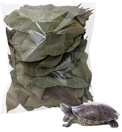 Hojas de reptiles – Suministros naturales para mascotas | Hojas de reptiles de acuario, para geckos, ranas, serpientes, camarones, tortugas, lagartos, hábitats de animales pequeños, hogar, interior y