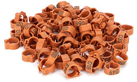 Bandas para Patas de pájaros, Anillo para pie de Palomas, Anillos de identificación numerados, Ligeros y duraderos para Palomas mensajeras, pájaros Adultos, plástico de 8mm, 100 (Coffee)