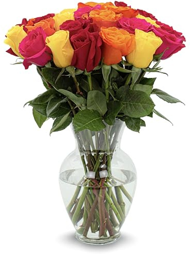 Stargazer Barn – 24 Stem Premium Rainbow Roses Bouquet (Vase Included) - Hand-Tied in the USA - Fresh Flower Delivery for Birthday, Anniversary, Sympathy, Home Decor, Wedding, Mother's Day
