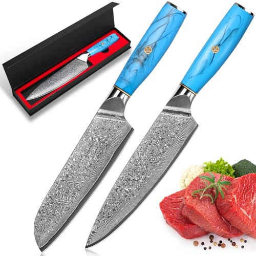 Damascus Kitchen Knife Set, 2 PCS, Chef's Knife Set Made of 67 Layers of Vg-10 Damascus Steel, Ergonomic Natural Resin Handle, Gift Box, use for Home Restaurant Kitchen