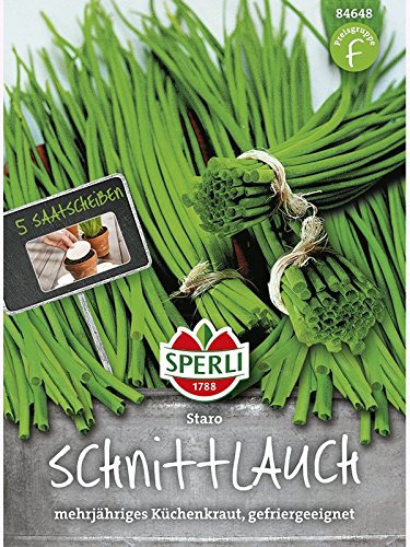 Schnittlauch Staro, 5 Saatscheiben