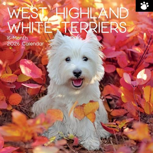 The Gifted Stationery 2026 Square Wall Calendar - 16-Month Wall Planner with Stickers 2026 - Hanging Big Grid Planner - West Highland White Terrier Animal Calendar - 12x12 in