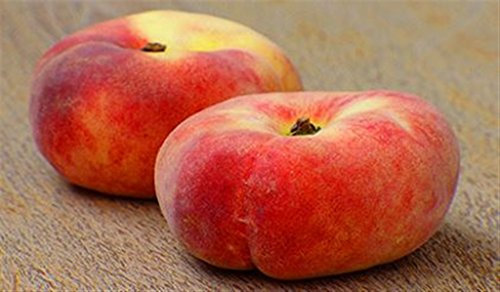 ALBERO DI PESCO -PRUNUS PERSICA SIMILE -PLATICARPA A MATURAZIONE TARDIVA- pianta vera da frutto da esterno Ø 19 cm - h 150 cm