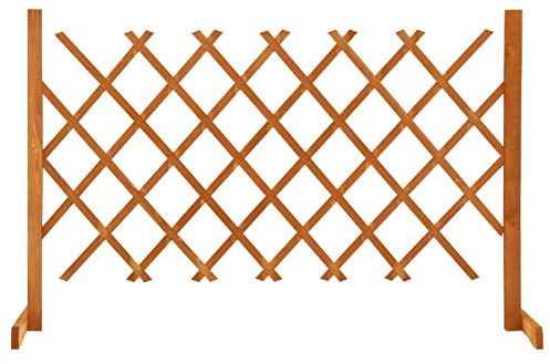 Festnight Scherengitter Ausziehbar Rankgitter Holz Garten-Rankzaun Orange Sichtschutz Terrasse Sichtschutz Zaun Holz 120x90 cm Massivholz Tanne