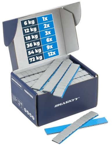 HASKYY Pesi adesivi, barretta di bilanciamento 12 x 5 g, argento – Selezione – FE zincato con rivestimento in plastica (54,0, chilogrammi)