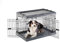 Ferplast Dog Crate Dog Cage Folding Cage for Medium Dogs, Chew Resistant Plastic Base Metal Cage, Divider and Wheels included, Double lock, 3 Doors, M, 92 x 59 x h 63 cm.