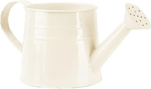 Gießkanne klein für den Zimmerpflanzen 1L, Blumengießkanne aus Metall, Giesskanne Pflanzengießkanne, kleine Gießkanne, Gartengießkanne Watering Can Blumentöpfe Kleine Vasen Gartenwerkzeug (Weiß)
