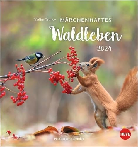 Trunov: Märchenhaftes Waldleben Postkartenkalender 2024. Der Tierfotograf fängt den Zauber der Waldtiere in seinen atemberaubenden Bildern ein. Süßer Tierkalender 2024.