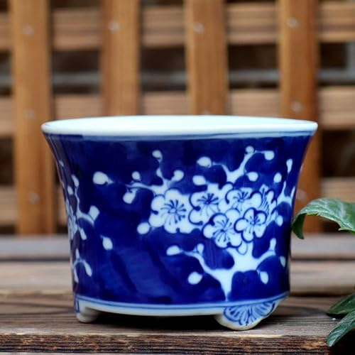 LWLYLCHBM Jingdezhen Chinoiserie Ceramics - Maceta de porcelana pintada a mano en azul y blanco, flor de ciruelo, espárragos, suculentas, bonsái, decoración de plantas en maceta para interiores, A