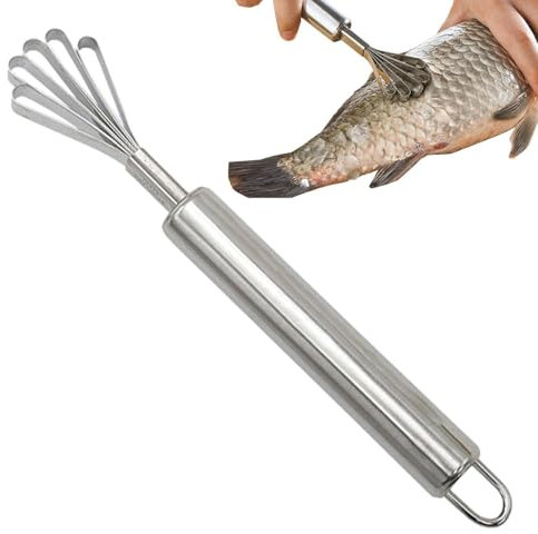 Grattugia di cocco - Forniture da cucina, Grattugia di carne di cocco in acciaio inossidabile | Solvente di verdure a manico lungo, raschietto per carne di cocco, cucchiaio da scavare