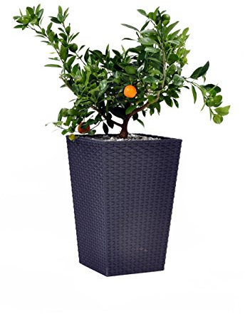 Keter- Maceta Mediana ratán, Base Cuadrada; 100% Material Reciclado;38 x 38 x 57 cm ; Capacidad 55L; Color Gris Grafito