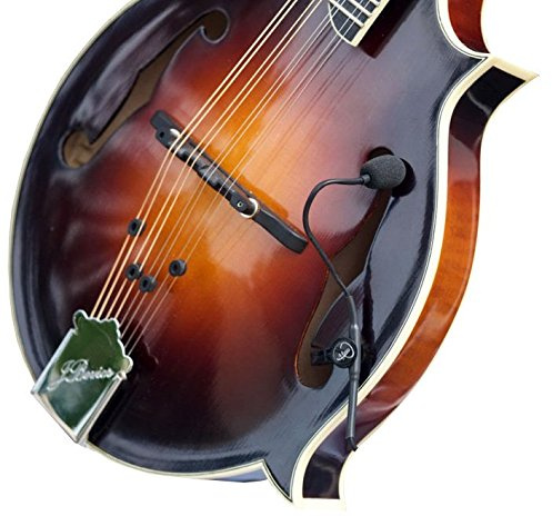 Myers Pickups Mandolinen-Tonabnehmer „Die Feder“, mit flexiblem Schwanenhalsmikrofon Von Myers Pickups.