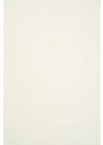 Netuno 50 x écru DIN A4, naturpapper, 210 × 297 mm, 130 g, Flora Anice, återvunnet papper, eko-papper, biopapper, kreativt papper, pysselpapper, naturligt för inbjudningar, gör-det-själv-projekt, dekoration, konst och hantverk