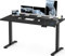 Flamaker Höhenverstellbarer Schreibtisch 160 x 80 cm, Schreibtisch Höhenverstellbar Elektrisch mit Memory Funktion, Computertisch mit Kabelmanagement, Standing Desk, Stehpult, Bürotisch, Schwarz