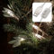hellum Lichterkette innen, 10er LED Lichterkette mit Schalter, mit Schalter und USB-Anschluss, beleuchtete Länge 1,08m, Kabel transparent, Lichtfarbe warmweiß < 59 Lumen, 2er Set 150674