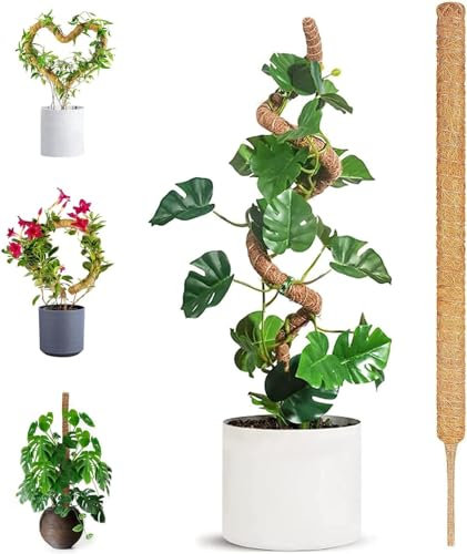 70cm Plant Supports for Indoor Plants, Moss Pole for Monstera Support Sphagnum Moss Sticks for Cheese Plant Bendable Growth