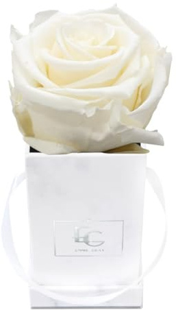 Emmie Gray Classic Infinity Roses | Marble Silver | Fyrkantig blomlåda – Infinity rosor i grå sammetslåda – 1–3 års hållbarhet – riktiga rosor som blommar i flera år (ren vit)