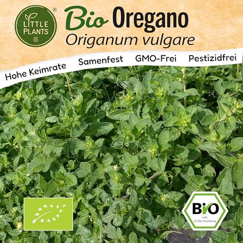 Little Plants BIO Oregano Samen 2000 Oreganosamen Kräutersamen Samenfest für Kräutergarten Kräuter Samen Küchenkräuter für Küche, Balkon und Garten