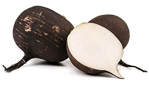 Graines de radis Noir Murzynka - Raphanus Sativus