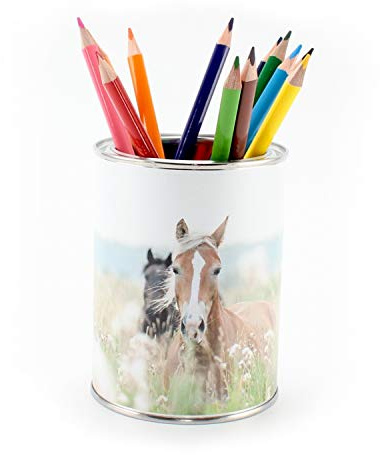 Stiftebecher Pferde inkl. 12 Dreikant Buntstiften| Kinder Stifteköcher Stiftehalter Schreibtisch Organizer Mädchen Junge