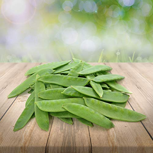 Lot de 25 graines de pois de sucre « Carouby » du Portugal 100 % naturel - Idéal pour mijoter, rôtir et salade