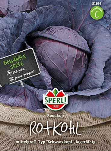 81199 Sperli Premium Rotkohl Samen Roodkop | Fein im Geschmack | Lagerfähig | Mittelgroß | Rotkohl Saatgut | Kohl Samen