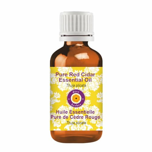 dève herbes Pure Red Cidar Essential Oil (Thuja plicata) Natural Therapeutic Grade Steam Distilled 5ml (0.16 oz)