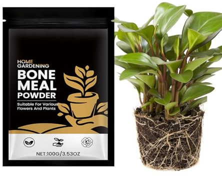 Radiant ormotonique - Perlite élargie - Perlite pour vases - Fertilisation pour - Valeur nutritive organique pour la terre, vitalisation, activateur de croissance, amplificateur de