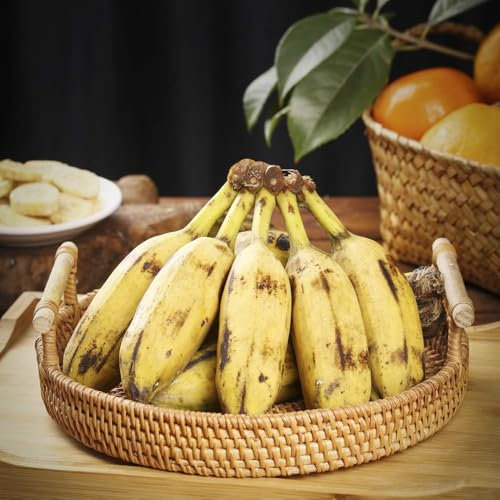 bananenbaum pflanzen - samen hochbeete für garten - Seltene pflanzen serie - obstbaum winterharte stauden mehrjährig dachbegrünung samen obst frisch balkon pflanze bananenbaum 80pcs