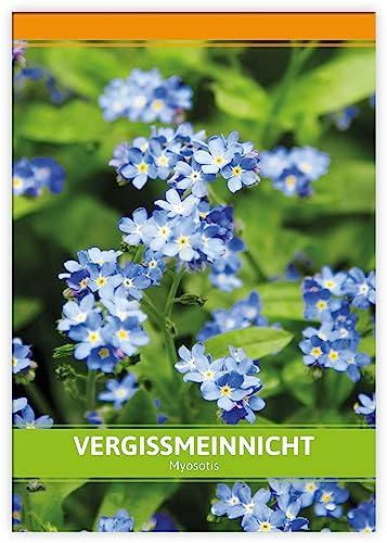 FLORTUS Vergissmeinnicht für Gastgeschenke | Blumensamen perfekt als Dankeschön Geschenke, Werbegeschenke & Gastgeschenke Hochzeit