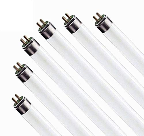 Circle (6 Pack F17T8/830 17W 24 Inch T8 Fluorescent Tube Light Bulb, 3000K Warm White, Medium Bi-Pin (G13) Base, 17 Watt T8 Light Bulbs