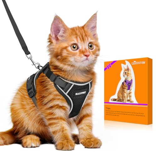 Halypet Cat Harness and Leash Set - MAX Safety 4th-Gen Upgrade, Escape Proof, Adjustable, Comfortable Soft Vest, Easy to Wear Kitten Harness with Reflective Strip for Cats Walking - Small Black