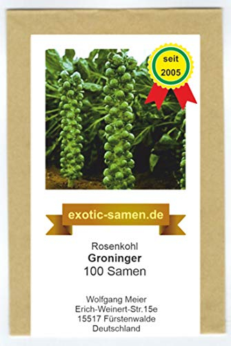 Rosenkohl - Groninger - 100 Samen