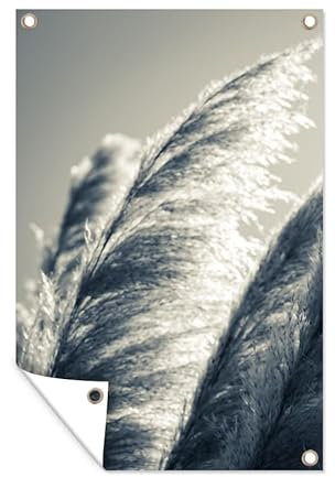 MuchoWow Poster exterieur Herbe de la pampa - Noir - Blanc - Nature Decoration murale 80x120 cm Résistant aux intempéries/soleil