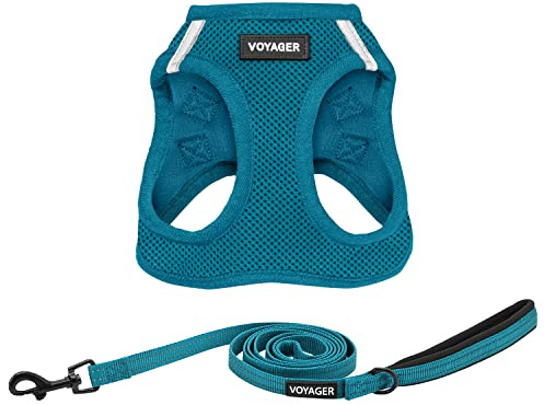 Best Pet Supplies Voyager Step-in Air All Weather Mesh Harness and Reflective Dog 5 Ft Leash Combo with Neoprene Handle, for Small, Medium and Large Breed Puppies by - Leash Harness (Turquoise), S