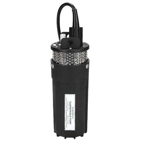 1 styck 12 V 24 V 220 V lyft = 70 m liten för solenergipaneler, djupfontän, dykpump, elektrisk vattentransfer pumpar 6 l/min (12 V, svart)