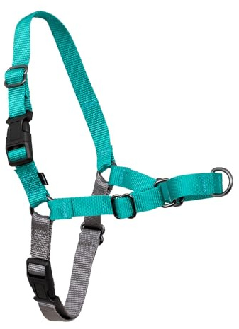 PetSafe, Easy Walk Hundegeschirr, das ultimative Geschirr gegen Ziehen bei Spaziergängen, übernimm die Kontrolle und lehre EIN besseres Leinenverhalten, Large, Petrol/Grau