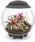biOrb 46148 biOrb AIR 60 grau - automatisiertes Terrarium zur bequemen Pflege exotischer Pflanzen, LED-Beleuchtung, 60 l Fassungsvermögen