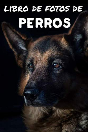 Libro de fotos de perros: Libro de ilustraciones para niños y más - Libro de ilustraciones para ancianos con demencia - Perfecto para el alivio del dolor del Alzheimer (Imágenes relajantes)