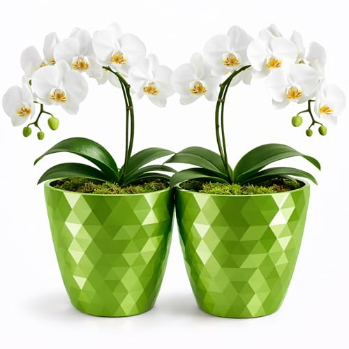 PECZEKO glänsande blomkruka, plastblomkruka, dekorativ blomkruka för stora och små blommor, set om 2 blomkrukor, blomkruka, örtkruka, (2-pack) grön, ø 12 cm